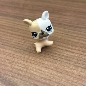 LPS Hasbro Baby Bulldog #3587 #3588- Authentic Littlest Pet Shop